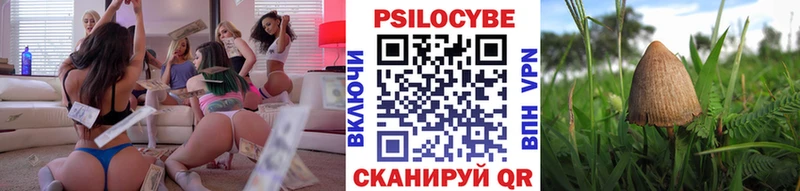 Купить где  Железноводск  Галлюциногенные грибы Psilocybine cubensis 